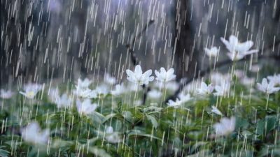 1. hujan | Buliran.com