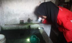 70 Kader Kesehatan Diterjunkan Perangi Jentik Di Pondok Terong