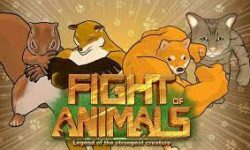 6.9 Fight of Animals | Buliran.com