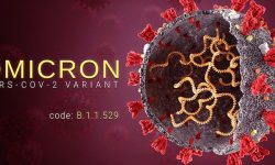 Kembali Ditemukan 20 Kasus Sub-Varian Omicron