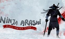 5.1 Ninja Arashi | Buliran.com