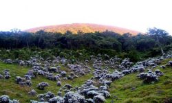 7.3 Gunung Pangrango – Jawa Barat | Buliran.com