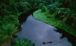 5.1 Sungai Kongo | Buliran.com