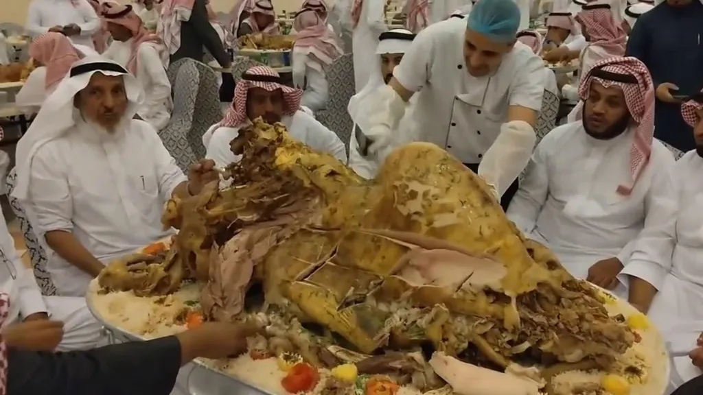 14.4 Camel In Dubai | Buliran.com